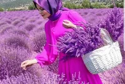 imagem jigsaw puzzle