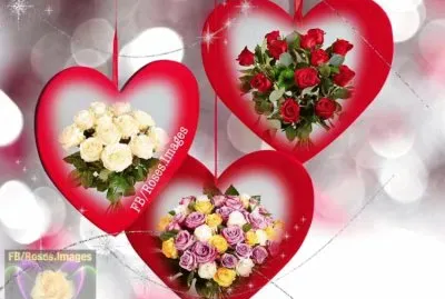 פאזל של imagem