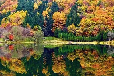 OtoÃ±o