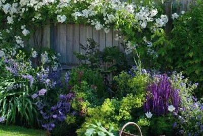 Porton jigsaw puzzle