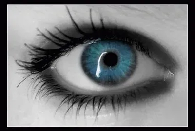 ×¤××–×œ×™× jigsaw puzzle