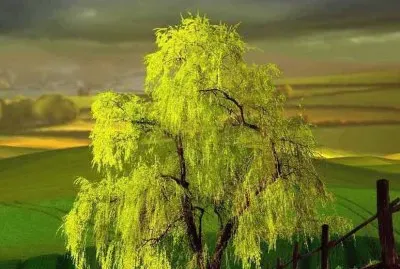 imagem jigsaw puzzle