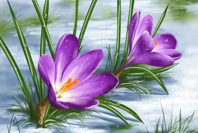 פאזל של imagem