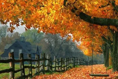 todo paisaje jigsaw puzzle