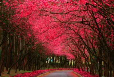 paisajes de otoÃ±o