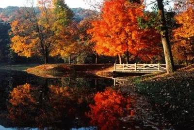 bbigth jigsaw puzzle