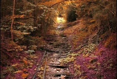 46 jigsaw puzzle