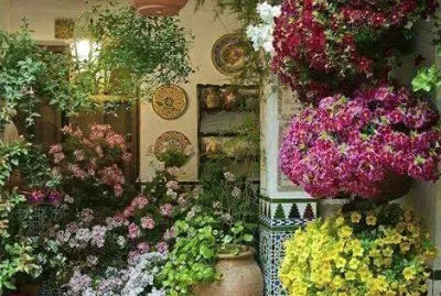 פאזל של Jardin