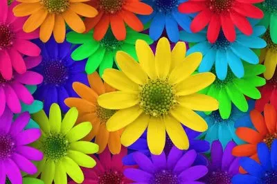 FLORES DE COLORES jigsaw puzzle