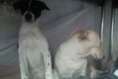 Bella y AlegrÃ­a