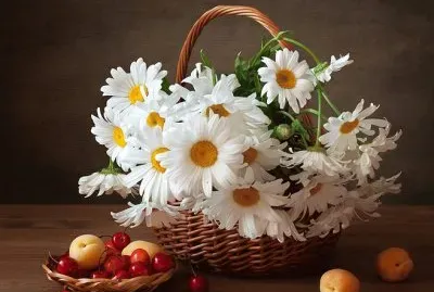 פאזל של imagem