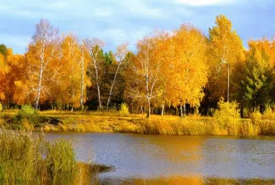 imagem jigsaw puzzle