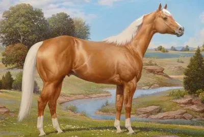 CABALLO PALOMINO jigsaw puzzle