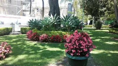 paisaje
