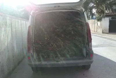 KangooBush jigsaw puzzle