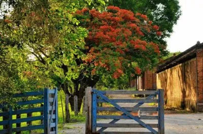 imagem jigsaw puzzle