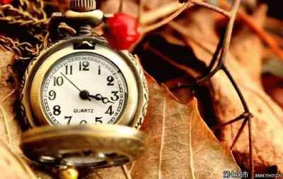 watch1 jigsaw puzzle