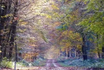 Lugares MAGICOS !!!!!!!