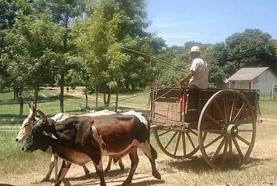 פאזל של carreta