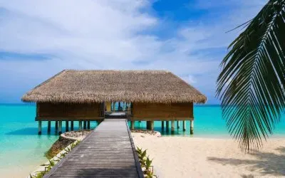 palapa