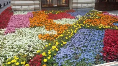 tapete de flores jigsaw puzzle