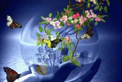 פאזל של imagem