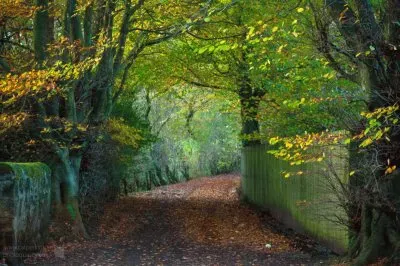 green arch