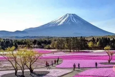 é¢¨æ™¯