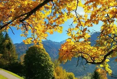 imagem jigsaw puzzle