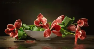 פאזל של imagem