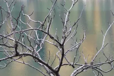 Braies 10.17 jigsaw puzzle