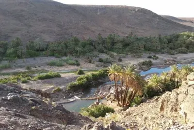 Ouarzazate oasis