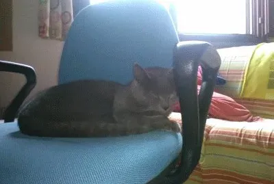 Mario 1 jigsaw puzzle