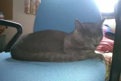 Mario 2 jigsaw puzzle