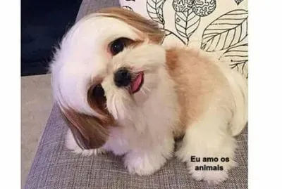 pritty jigsaw puzzle