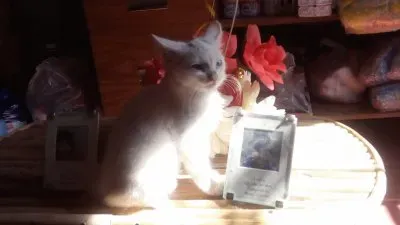 mi princesa jigsaw puzzle