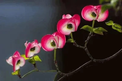 imagem jigsaw puzzle