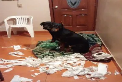 camila y lulu jigsaw puzzle