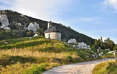 NATUREZA jigsaw puzzle