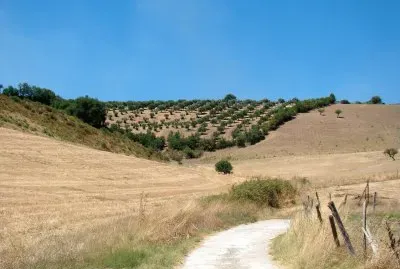 campagne calabraise