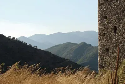 Malvito