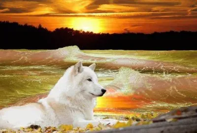 imagem jigsaw puzzle