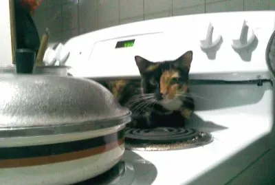 Cocinando a Misa