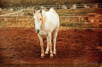 mallorca jigsaw puzzle