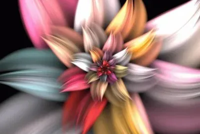 ROSAS