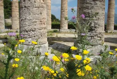 Segesta jigsaw puzzle