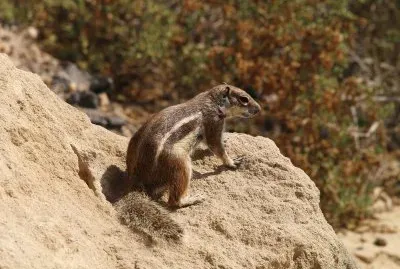 gran canaria jigsaw puzzle