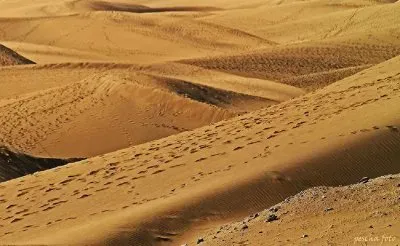 gran canaria jigsaw puzzle