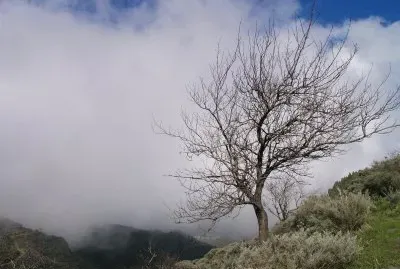 gran canaria / passat jigsaw puzzle