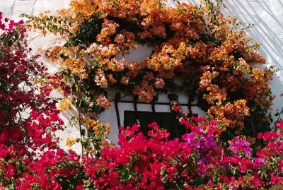 פאזל של gran canaria